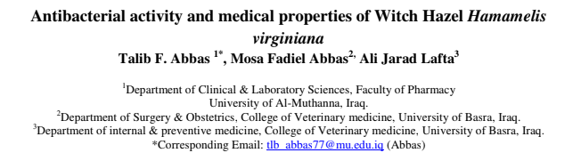 Antibacterial activity and medical properties of Witch Hazel Hamamelis  virginiana