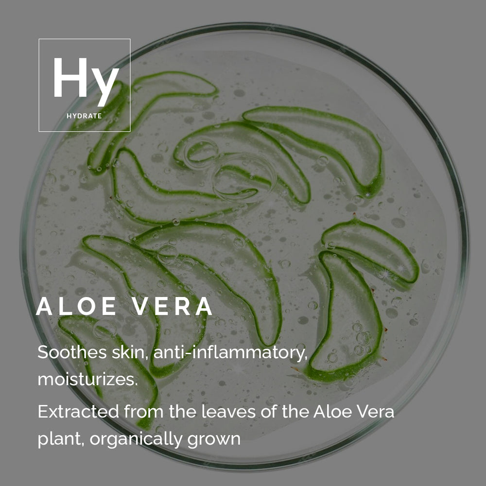 Aloe Vera